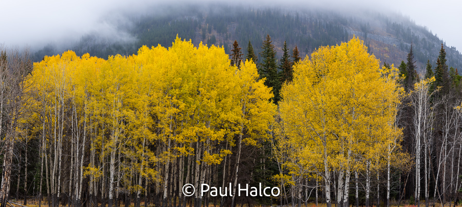 Paul Halco - Canadian Rockies-21